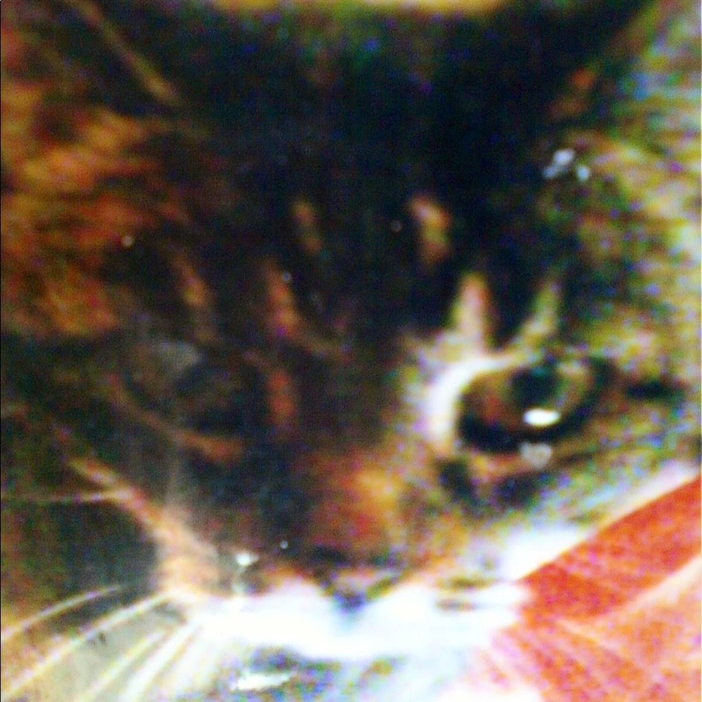 Meet your Posher, Kimberly